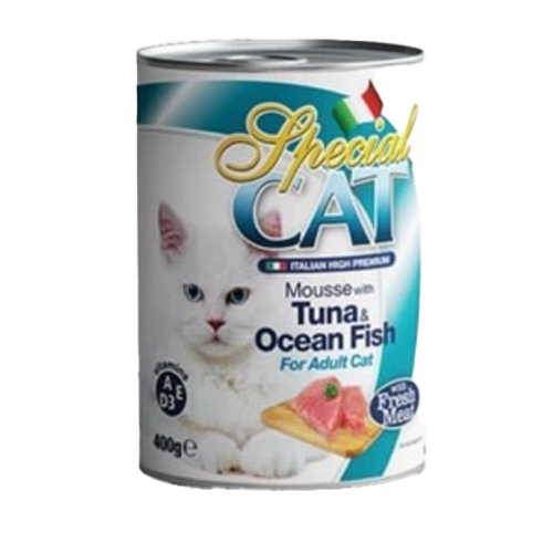 Special Cat 400g can